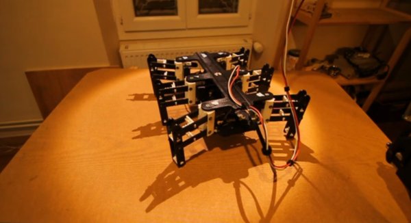 Bleuette, the hexapod robot