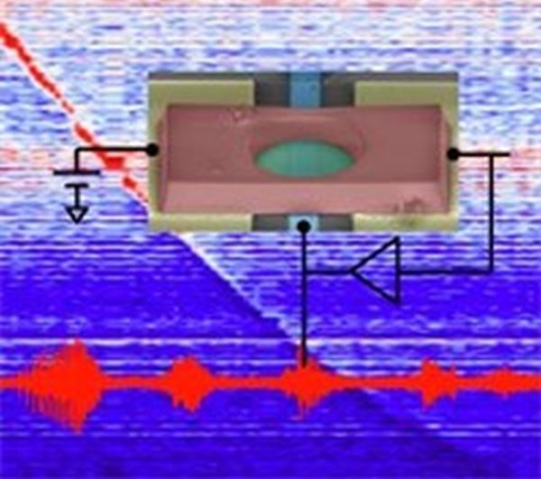 Graphene Resonator