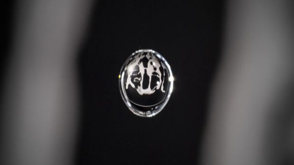An animation inside a water drop by Physalia
