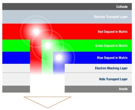 Flexible and transparent OLEDs at LG