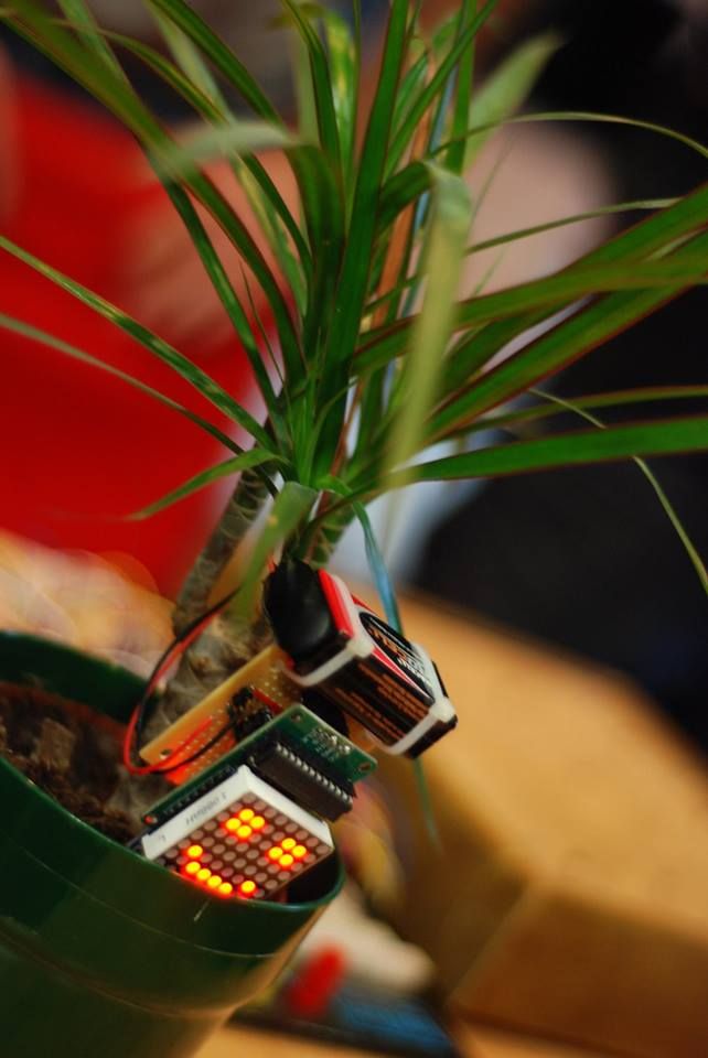 Make your plant smile using Arduino