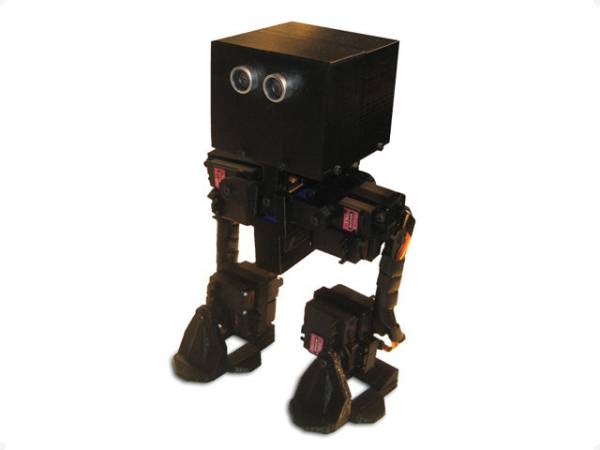 walking robot project