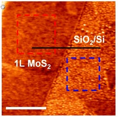 Scientists discover a better metal contact that improves two dimensional transistor performance