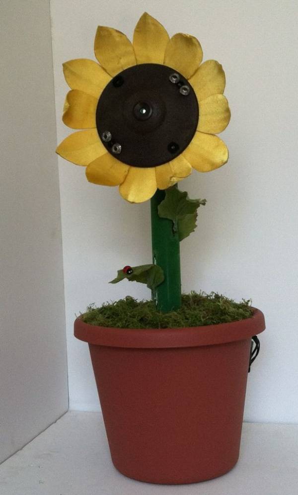 Sunflower Automaton