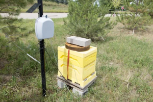 The Internet of Bees Adding Sensors to Monitor Hive Health