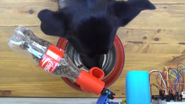 smart food dispenser