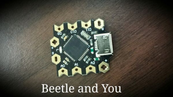 Beetle Minimize Your Arduino Projects
