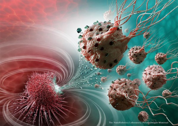 Nanobots Fight Cancerous Cells