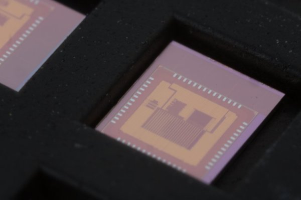 Open-V, The Open Source RISC-V 32bit Microcontroller