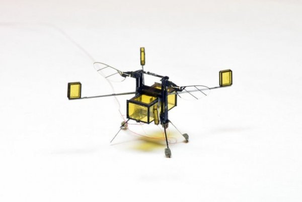 RoboBee – A Flying Microbot That Can Perform Search And Rescue Missions