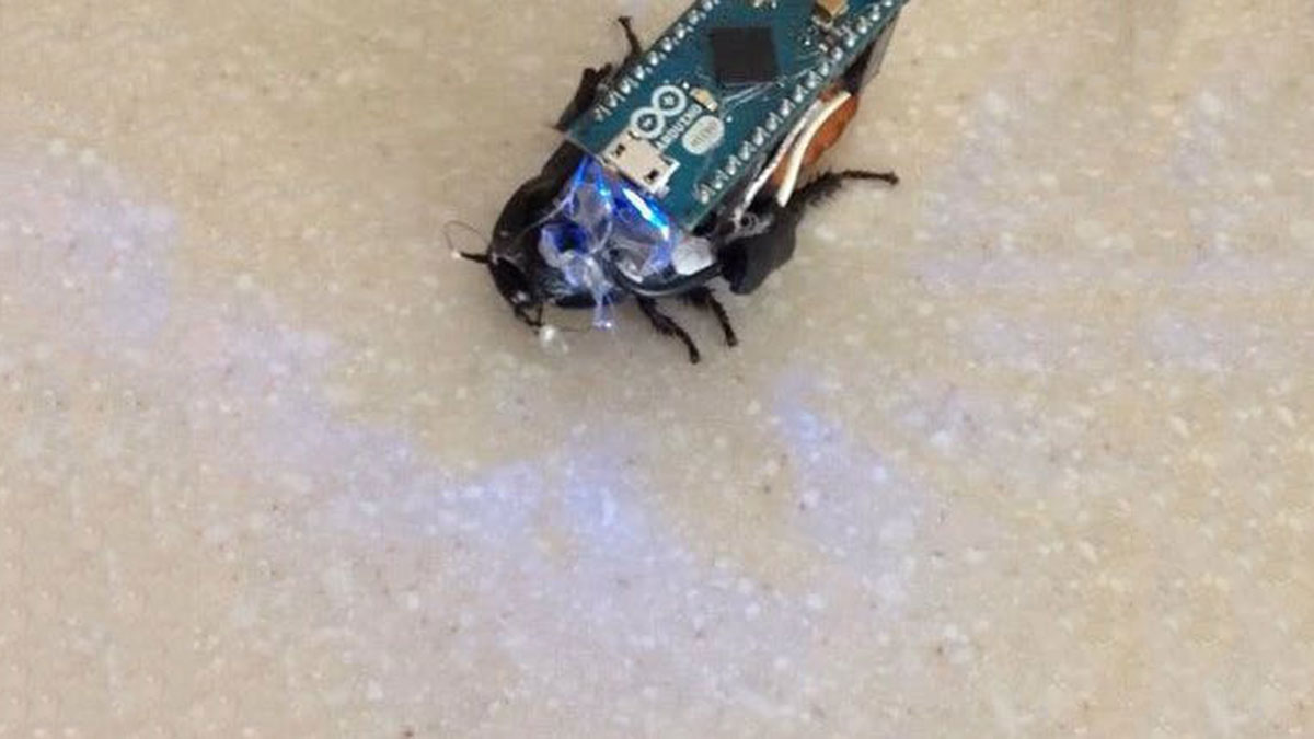 Control a Cockroach with Arduino for under $30