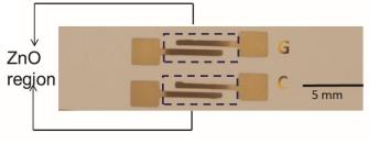 GLUCOSE WEARABLE BIOSENSOR