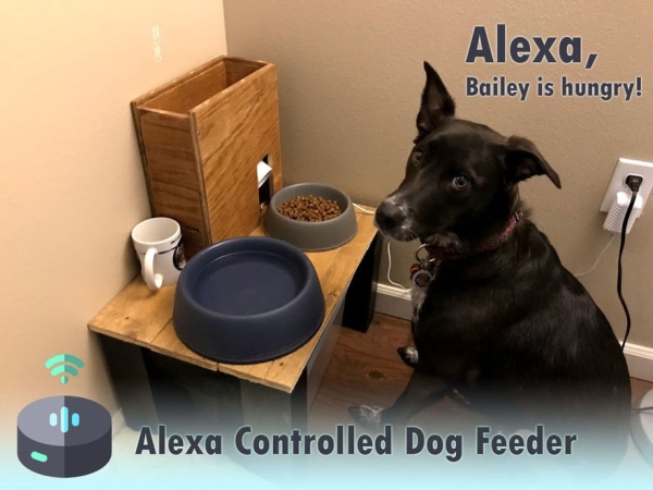 Alexa Controlled Dog Feeder