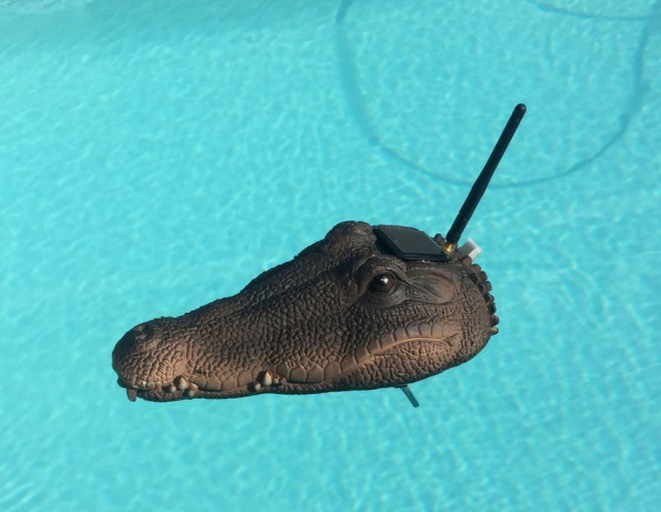 Crocodile-Solar-Pool-Sensor