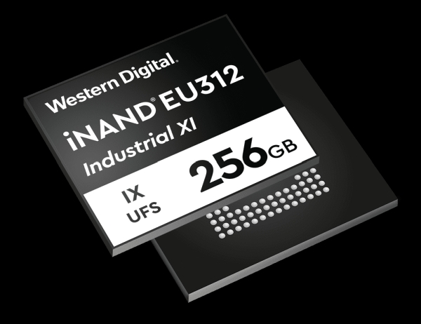 WESTERN DIGITAL INAND IX EM132