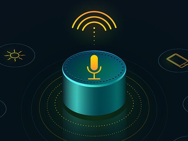 Learn how you can build versatile apps for Amazon Alexa and Google Assistant with this training