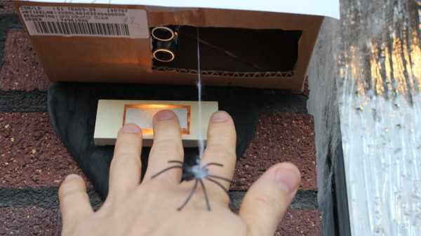 Dropping Spider on Doorbell Halloween Scare Prank
