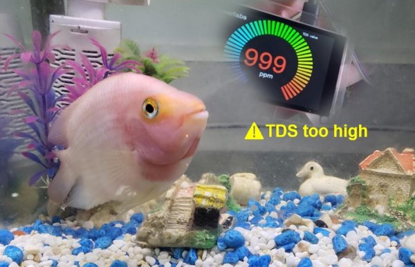 TDS Measuring in Aquarium