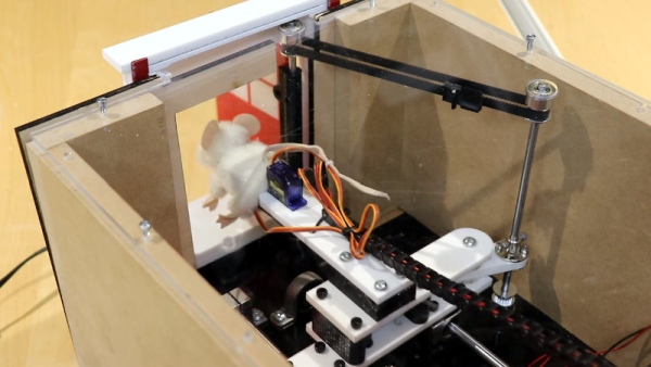 PEEK BEHIND THE CURTAIN OF THIS ROBOTIC MOUSE