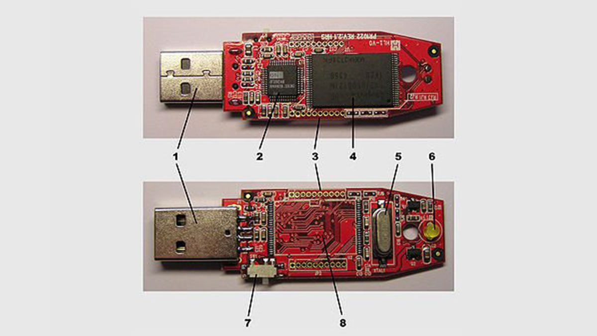 networks to USB Chip links ANT body area