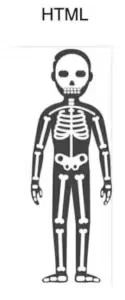 HTML
