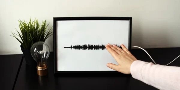 How to Make an Interactive Sound Wave Print