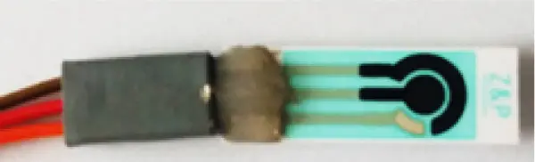 Figure 16 – Screen printed electrode