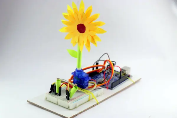 ROBOT SUNFLOWER FOLLOWS THE SUN