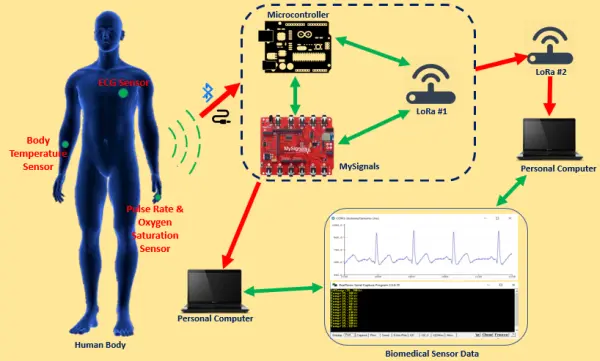 Real Time Body Temperature Tracking via IoT and LoRa Networks Using Arduino